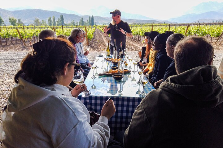 Inca Lagoon in Andes Mountain Range - Visit Local Vineyard with Tasting included