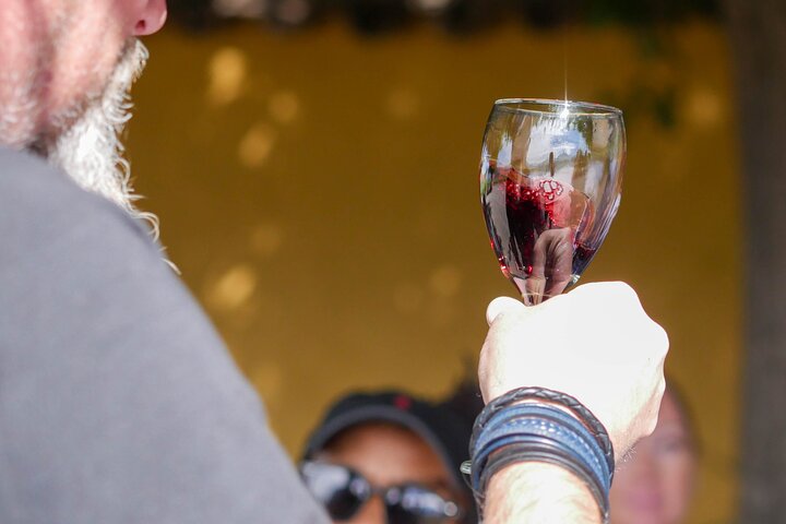 Inca Lagoon in Andes Mountain Range - Visit Local Vineyard with Tasting included