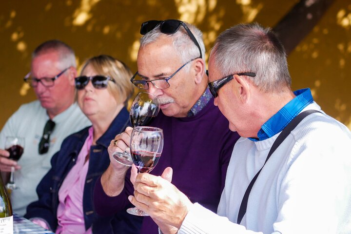 Inca Lagoon in Andes Mountain Range - Visit Local Vineyard with Tasting included