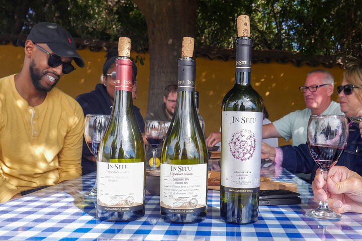 Inca Lagoon in Andes Mountain Range - Visit Local Vineyard with Tasting included