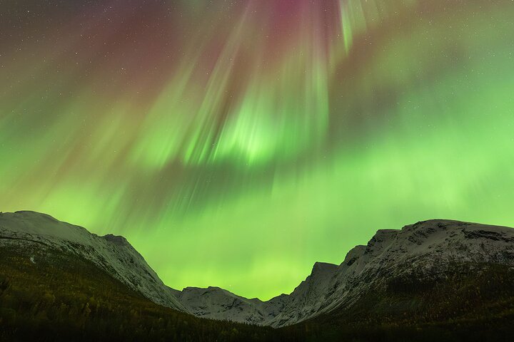 Northern Lights Tour with Local Guide and Photos