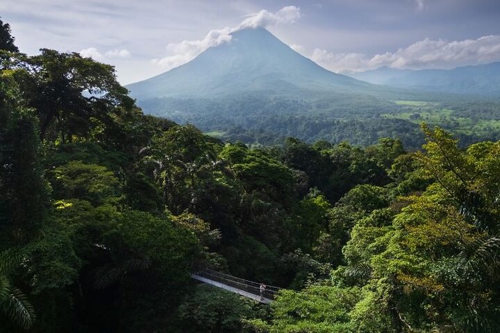 Arenal Hanging Bridges Self-Guided Walk at Mistico Park