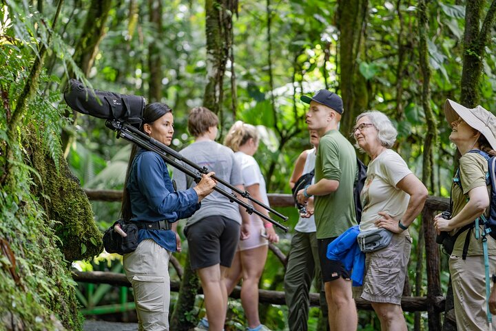 La Fortuna: Mistico Park Hanging Bridges Guided Tour