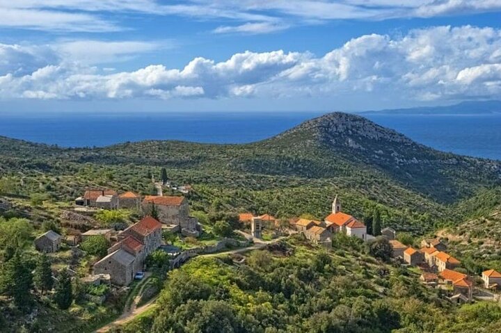 Hvar: Island tour with Wine and Olive Oil Tasting