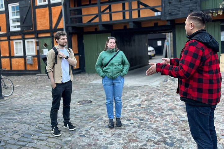 Aarhus Walking Tour: From Viking Village to Metropolis