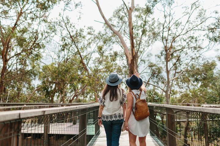 Phillip Island Penguin and Koala Highlights Day-Trip from Melbourne