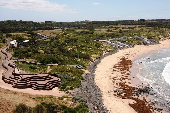 Phillip Island Penguin and Koala Highlights Day-Trip from Melbourne