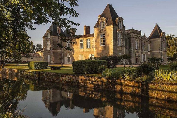 Saint-Émilion & Médoc : Full day with tastings and WSET guide
