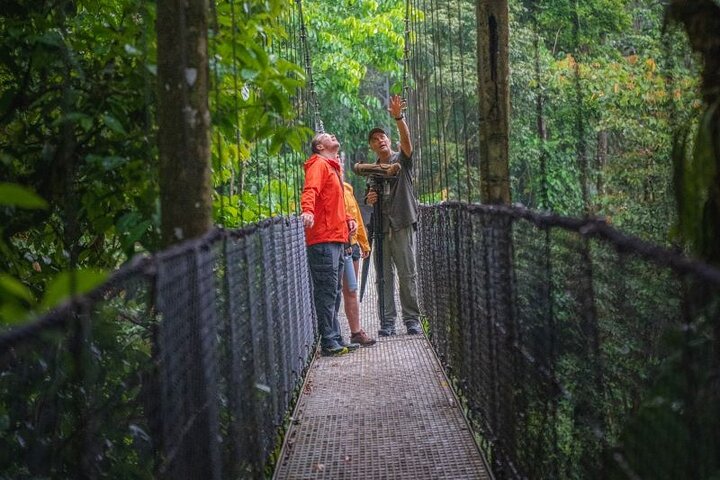 La Fortuna: Mistico Park Hanging Bridges Guided Tour