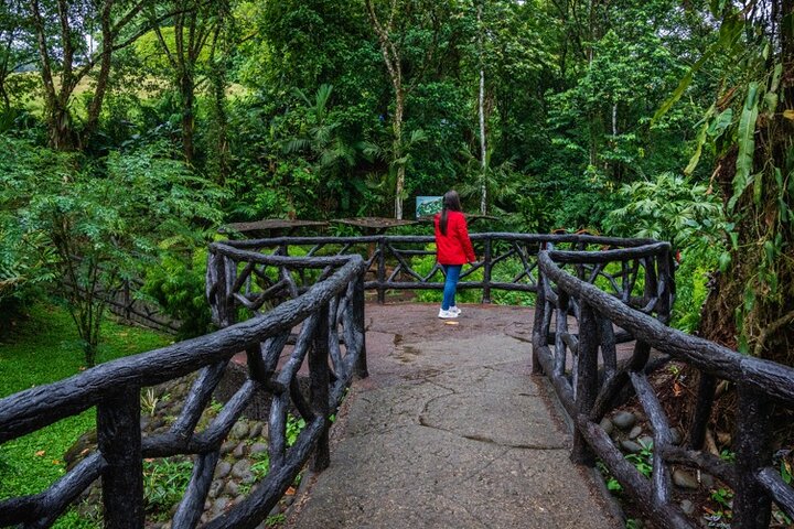 La Fortuna: Mistico Park Hanging Bridges Guided Tour