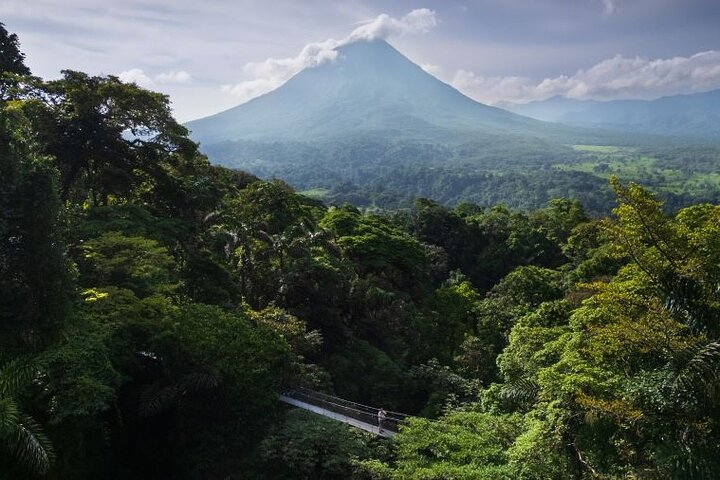 La Fortuna: Mistico Park Hanging Bridges Guided Tour