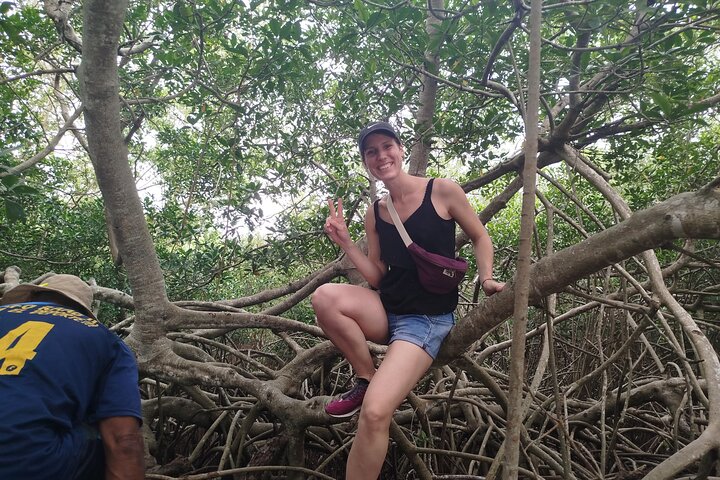 Navigate the Mangroves of Cartagena in a Canoe