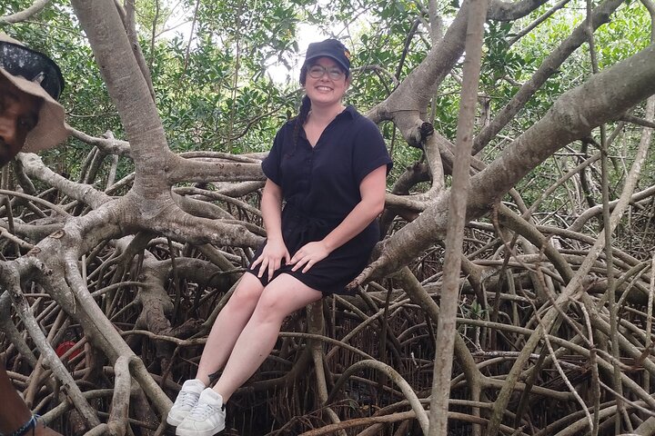 Navigate the Mangroves of Cartagena in a Canoe