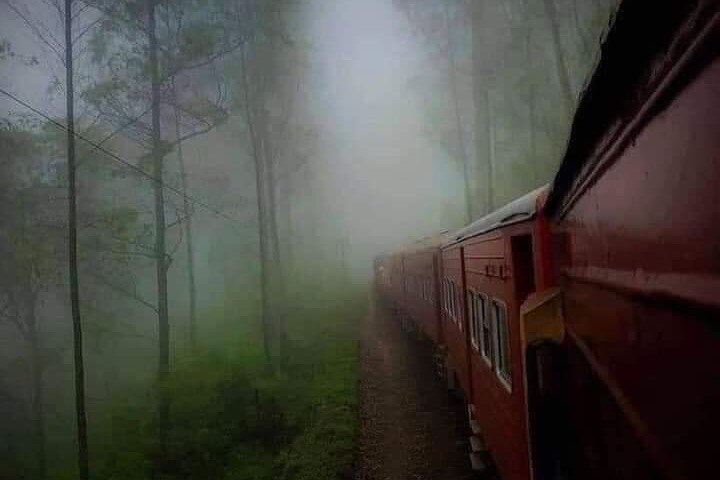 Sigiriya, Kandy to Ella TRain Ride plus Up Country TEA[B&B Basis]