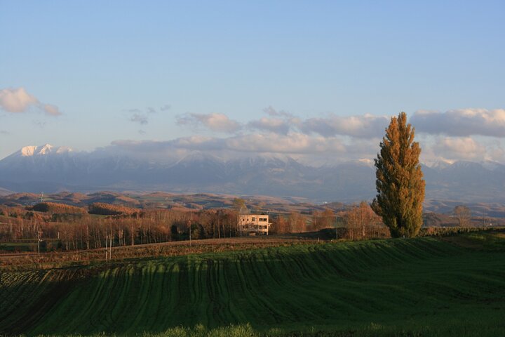 [Biei/Furano] One-day sightseeing by private car!