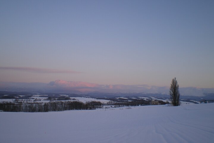 [Biei/Furano] One-day sightseeing by private car!