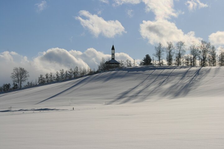 [Biei/Furano] One-day sightseeing by private car!