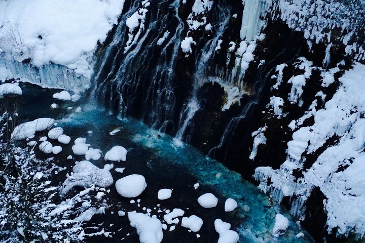 [Biei/Furano] One-day sightseeing by private car!