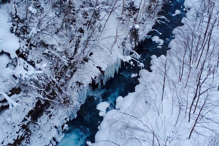 [Biei/Furano] One-day sightseeing by private car!