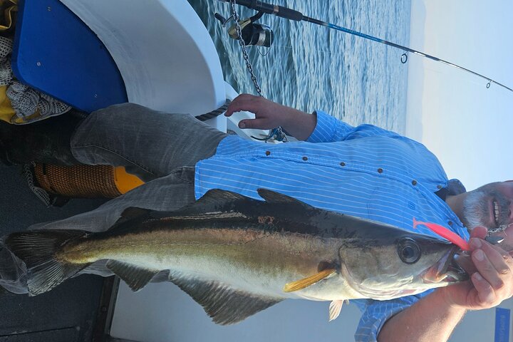 3 Hour Fishing or Sightseeing Charter