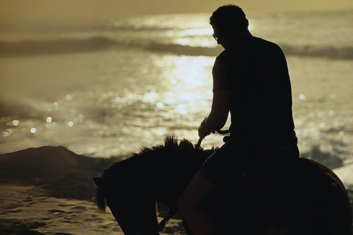 Afternoon Horseback Ride by the Beach in Aguadilla, Puerto Rico