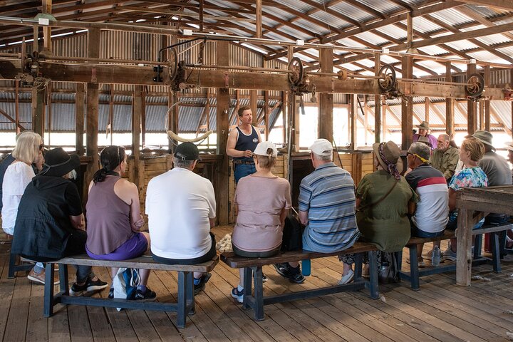 Longreach: Half Day Nogo Station Experience