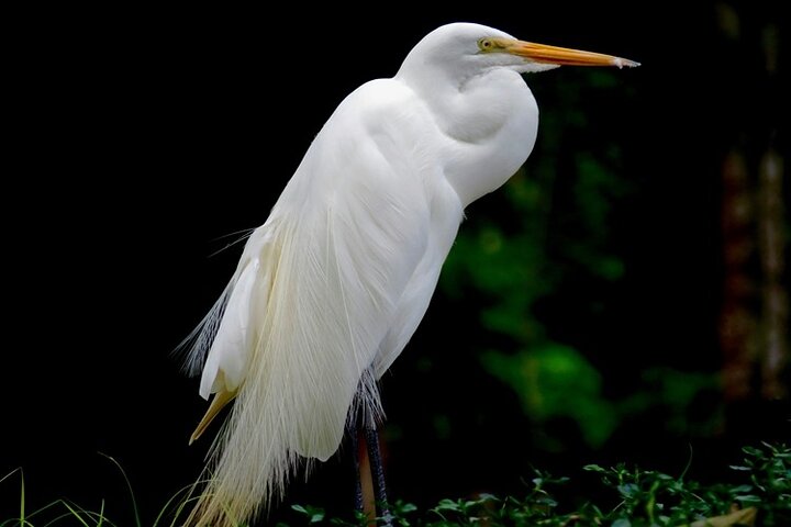 Belem & Marajo Island - Private Multi Day Tour