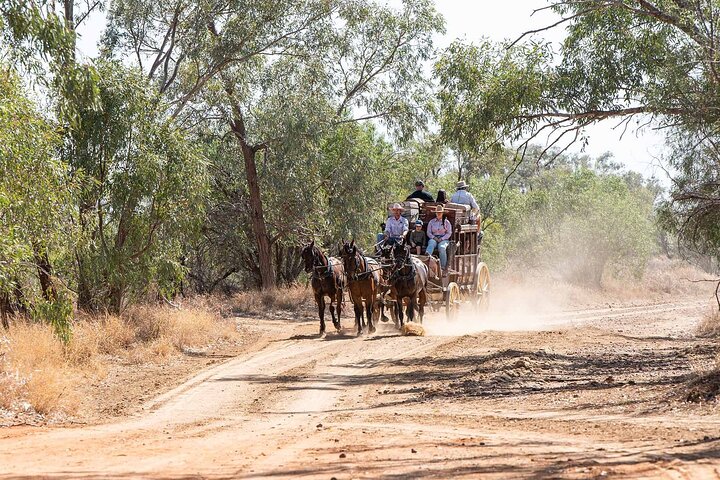 Cobb & Co Stagecoach Experience in Longreach
