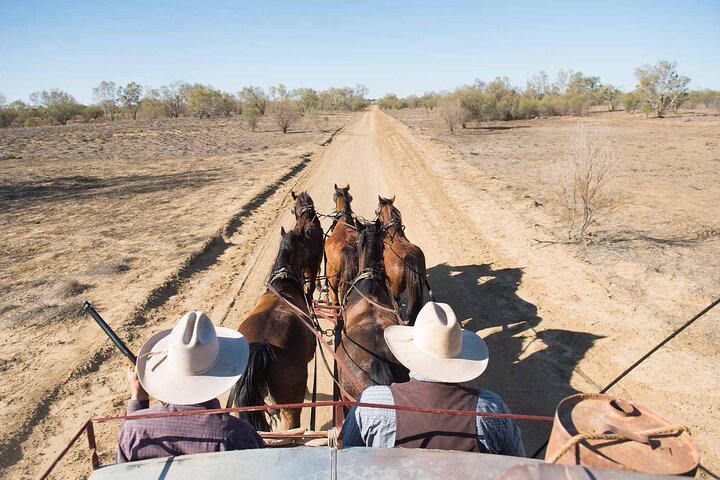 Cobb & Co Stagecoach Experience in Longreach