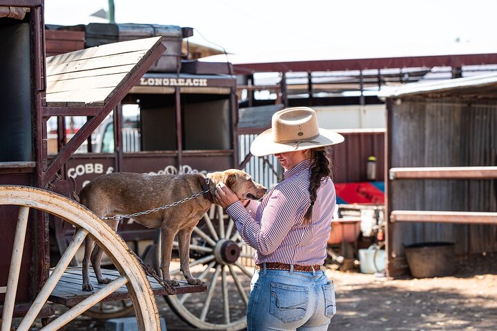 Cobb & Co Stagecoach Experience in Longreach