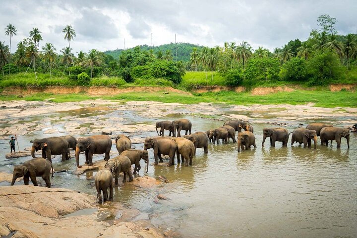 Sigiriya, Kandy to Ella TRain Ride plus Up Country TEA[B&B Basis]