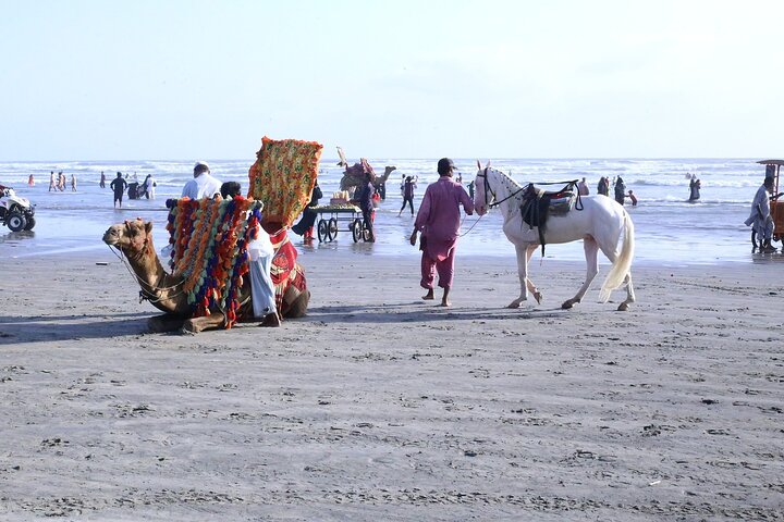 Full Day Private Karachi City Tour (History and Culture)