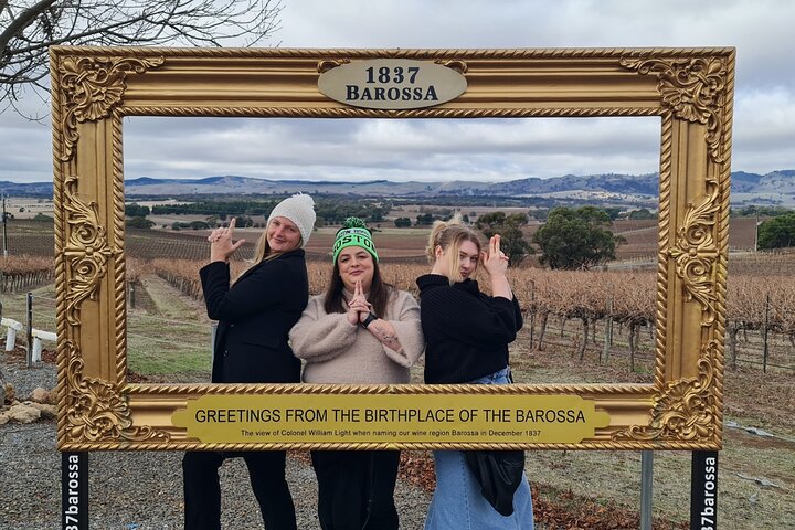 Group of Four Private Barossa Wine Tour with Lunch