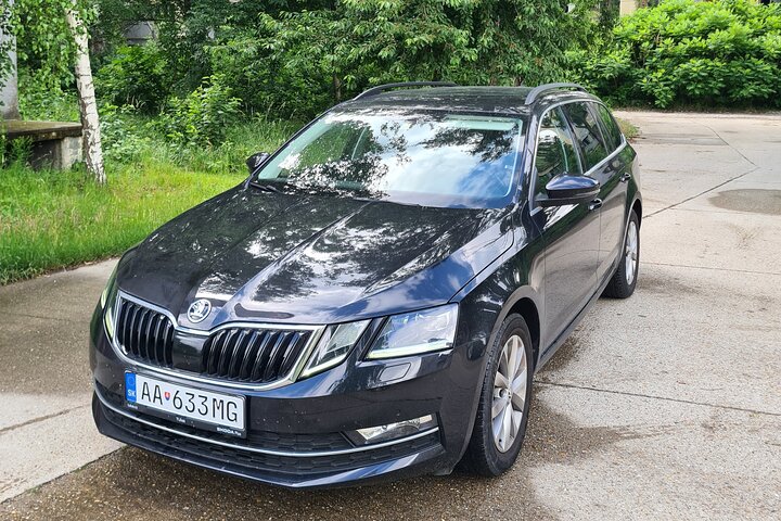 PrivaeTransfer from Vienna to Salzburg with sightseeing stop