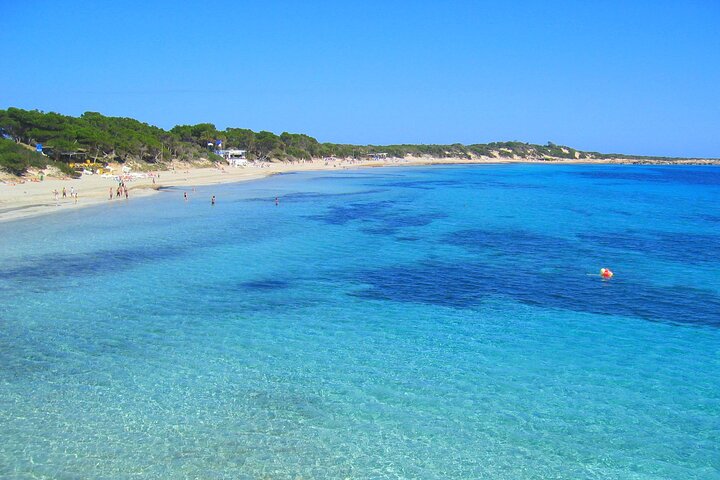 Ibiza Tour Island Bus Tour with Hippie Market Visit