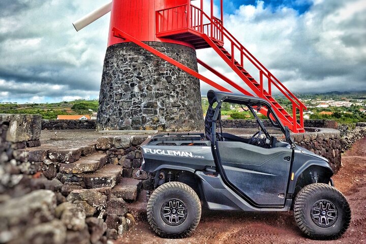 3H Buggy tour of Pico Island vineyards