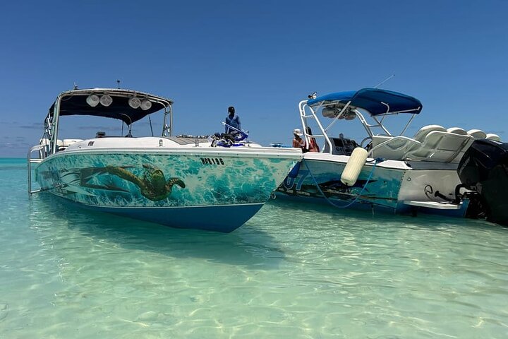 Rose Island Adventure Snorkel Sea Turtles and Private Beach