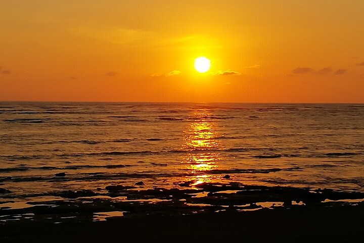 Drake Bay — Night Walk with Certified Guide