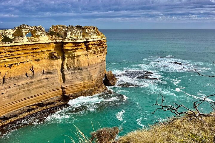 Great Ocean Road Small-Group Eco Tour from Melbourne