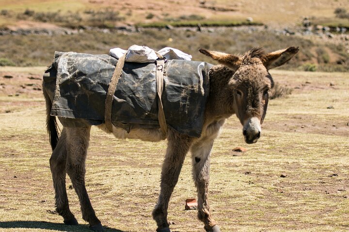 Extended Lesotho Day Tour - 9.5 Hours