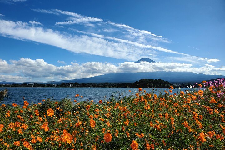 Mount Fuji Full-Day Private Tour from Yokohama Customizable