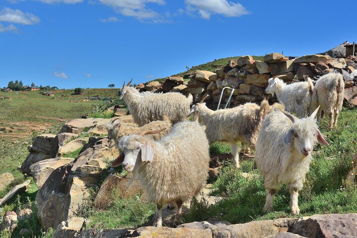 Extended Lesotho Day Tour - 9.5 Hours