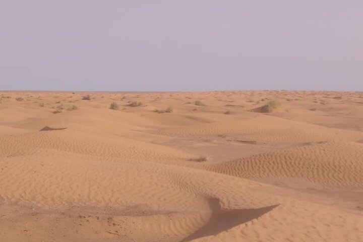 2 Days 1 Night in the Sahara 75km Private