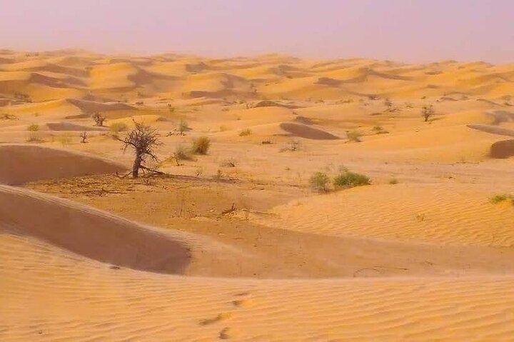 2 Days 1 Night in the Sahara 75km Private