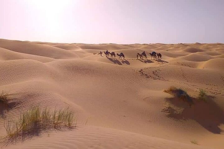 2 Days 1 Night in the Sahara 75km Private