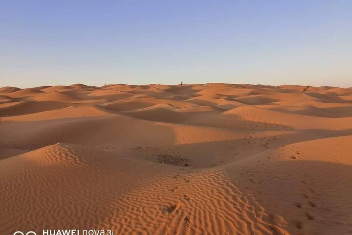 2 Days 1 Night in the Sahara 75km Private