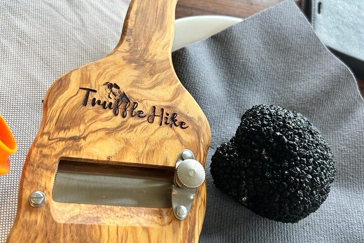 Truffle Hunting and Lunch in Piedmont Trattoria