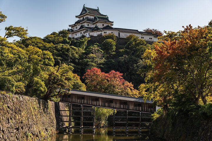 Historic Wakayama City Walking Tour
