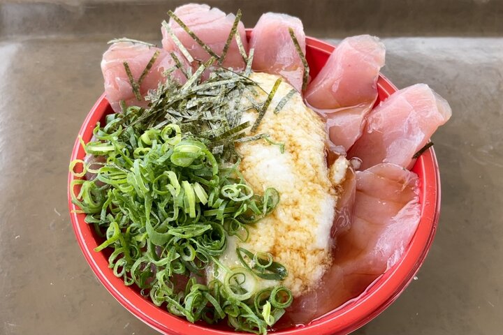 Historic Wakayama City Walking Tour