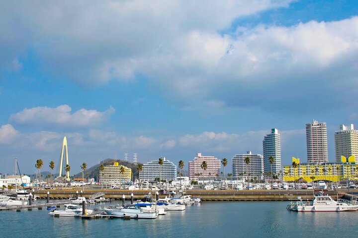 Historic Wakayama City Walking Tour